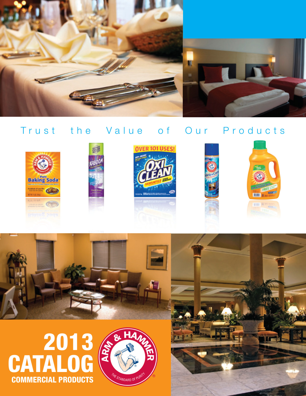 2013 Arm & Hammer catalog cover